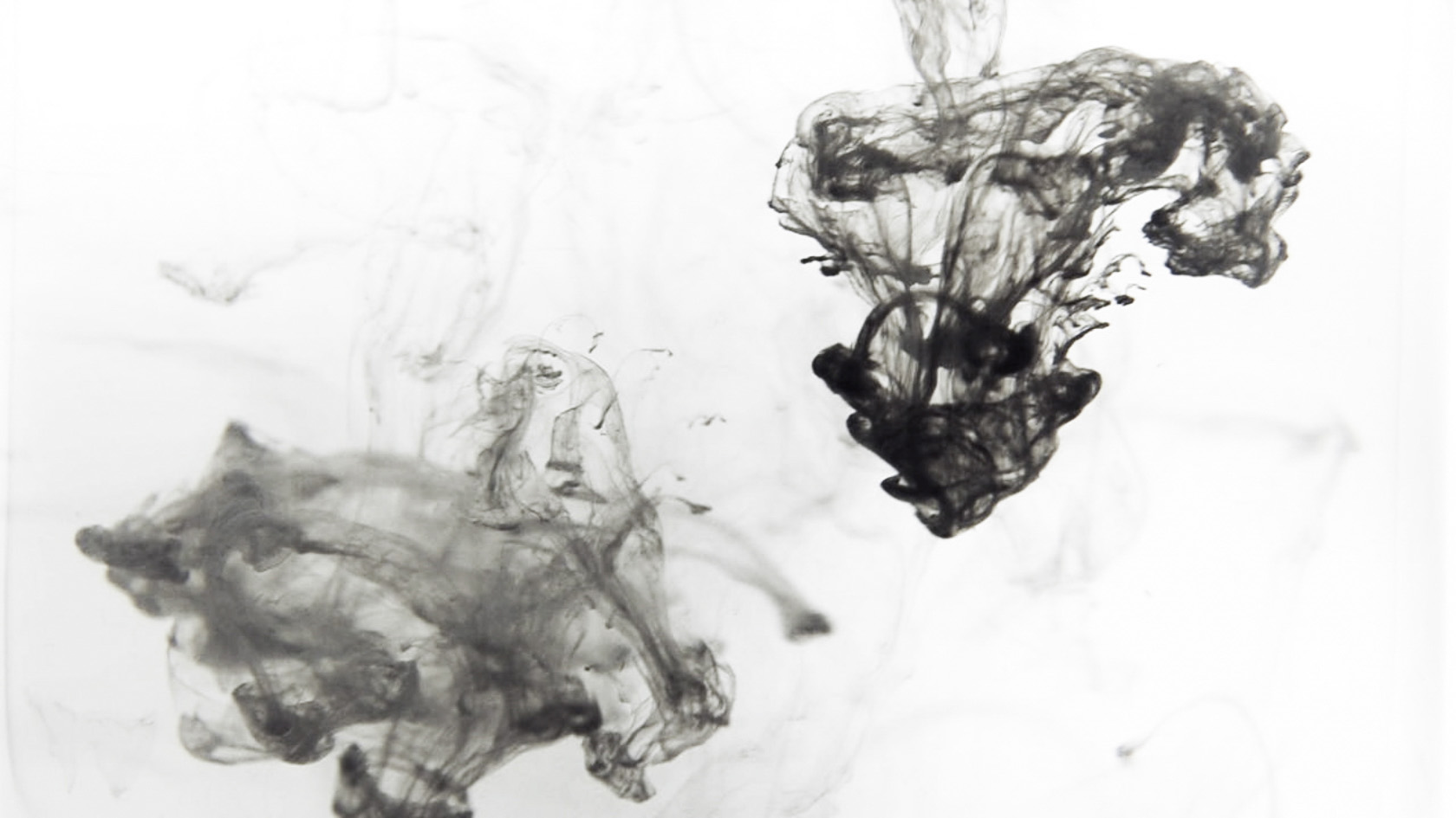 two ink spots in water in black and white from live visuals by Claudia Hansen