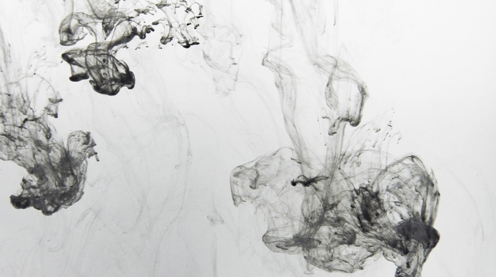 strong black and white ink stream in water from live visuals by Claudia Hansen