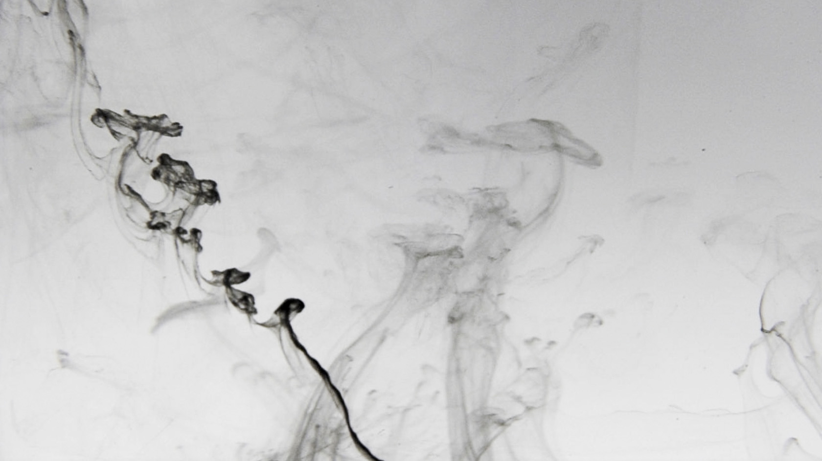 thin ink lines in water in black and white from Claudia Hansen video live visuals