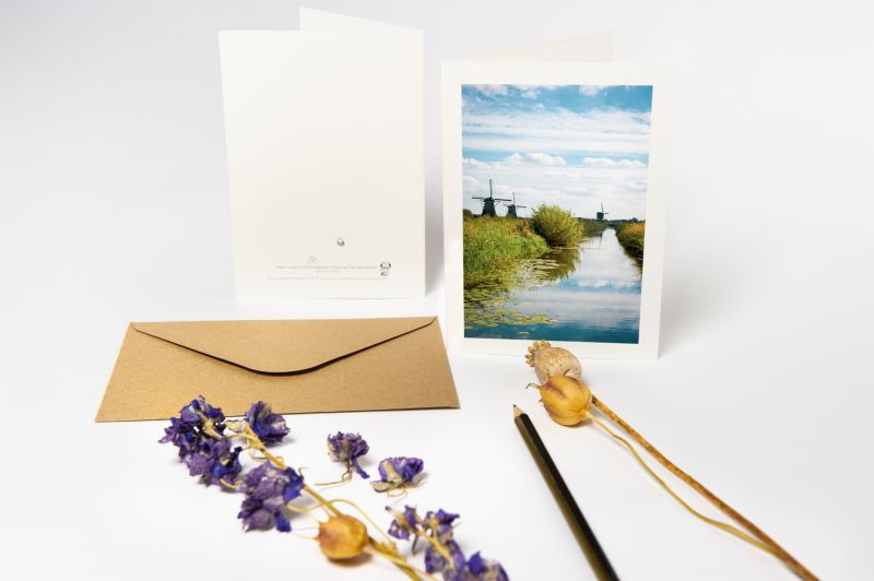 Greeting Card Set 