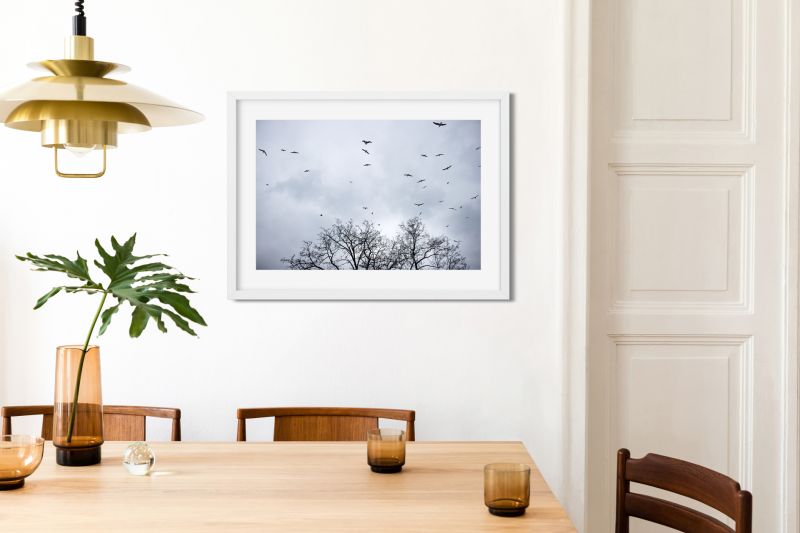 Fine Art Photography Print 