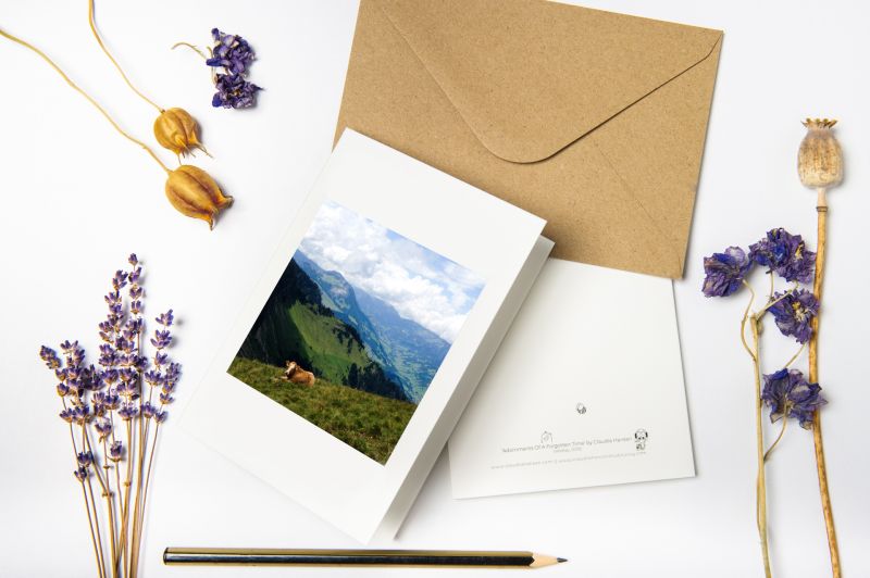 Folded Greeting Card 