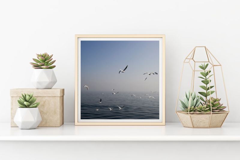 Fine Art Photography Print “Seagulls At The Sea”