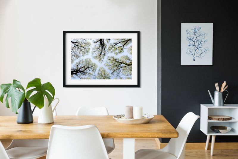 Fine Art Photography Print 