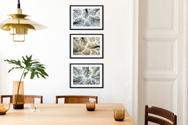 Set of 3 Fine Art Photography Prints 